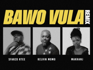 Sfarzo Rtee - Bawo Vula Remix