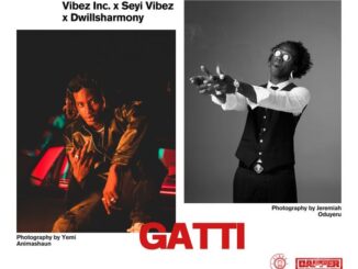 Seyi Vibez - Gatti