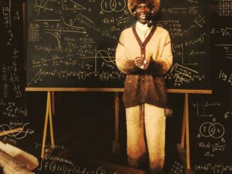 Seyi Vibez - Loseyi Professor Album