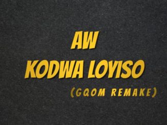 Deejay Zebra SA - Aw Kodwa Loyiso (Gqom Remake)