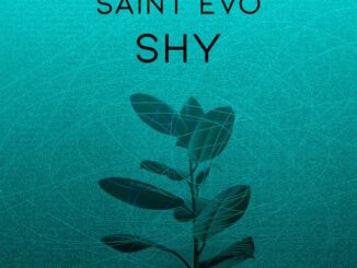 Saint Evo - Shy (Original Mix)