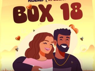 Kidbaby - Box 18